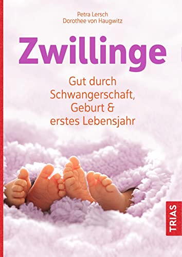 Zwillinge: Gut durch Schwangerschaft, Geburt und...