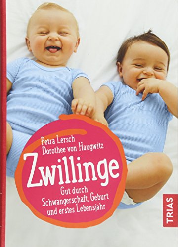 Zwillinge: Gut durch Schwangerschaft, Geburt und...