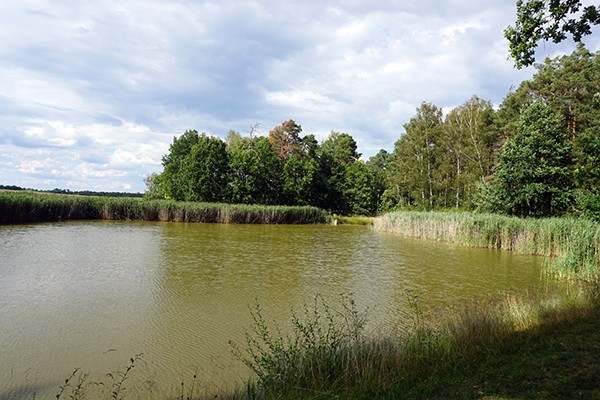 pilgern jakobsweg oberpfalz 1